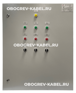 Шкаф управления ШУЭОр-21.9-Т223Н-240502-01-М S