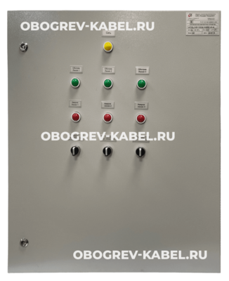 Шкаф управления ШУЭОр-21.9-Т223Н-240502-01-М S