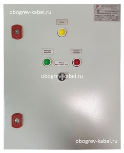 Шкаф управления ШУЭО-6.3-Т111Н-231103-2-Д S